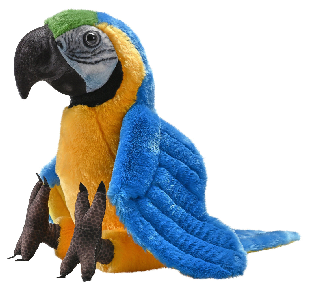Fizz the Macaw - Nana's Weighted Blankets