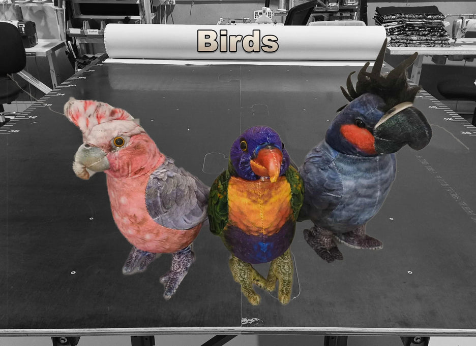Birds