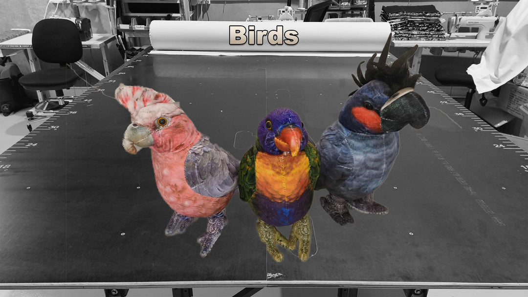 Birds