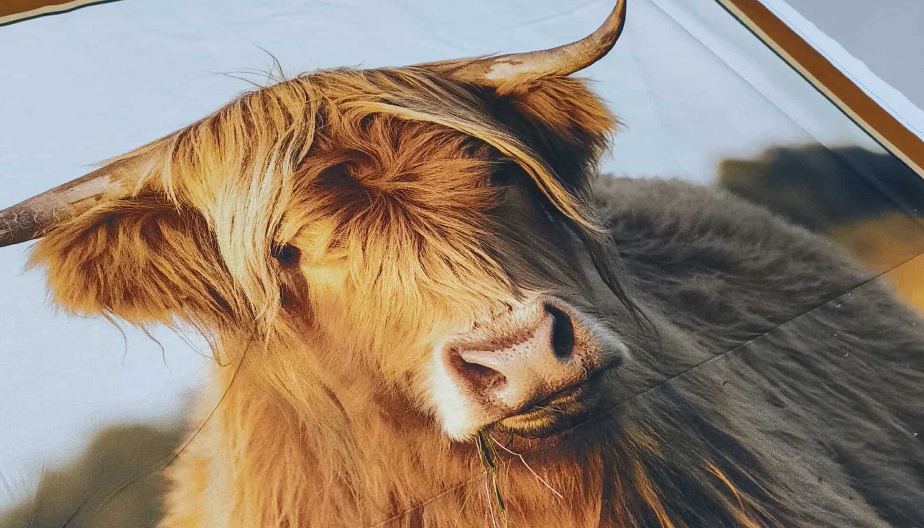 Animals - Nana's Weighted Blankets