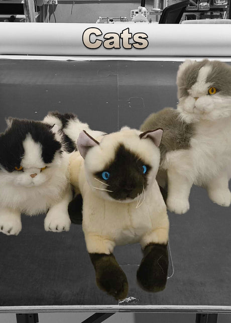 Cats - Nana's Weighted Blankets