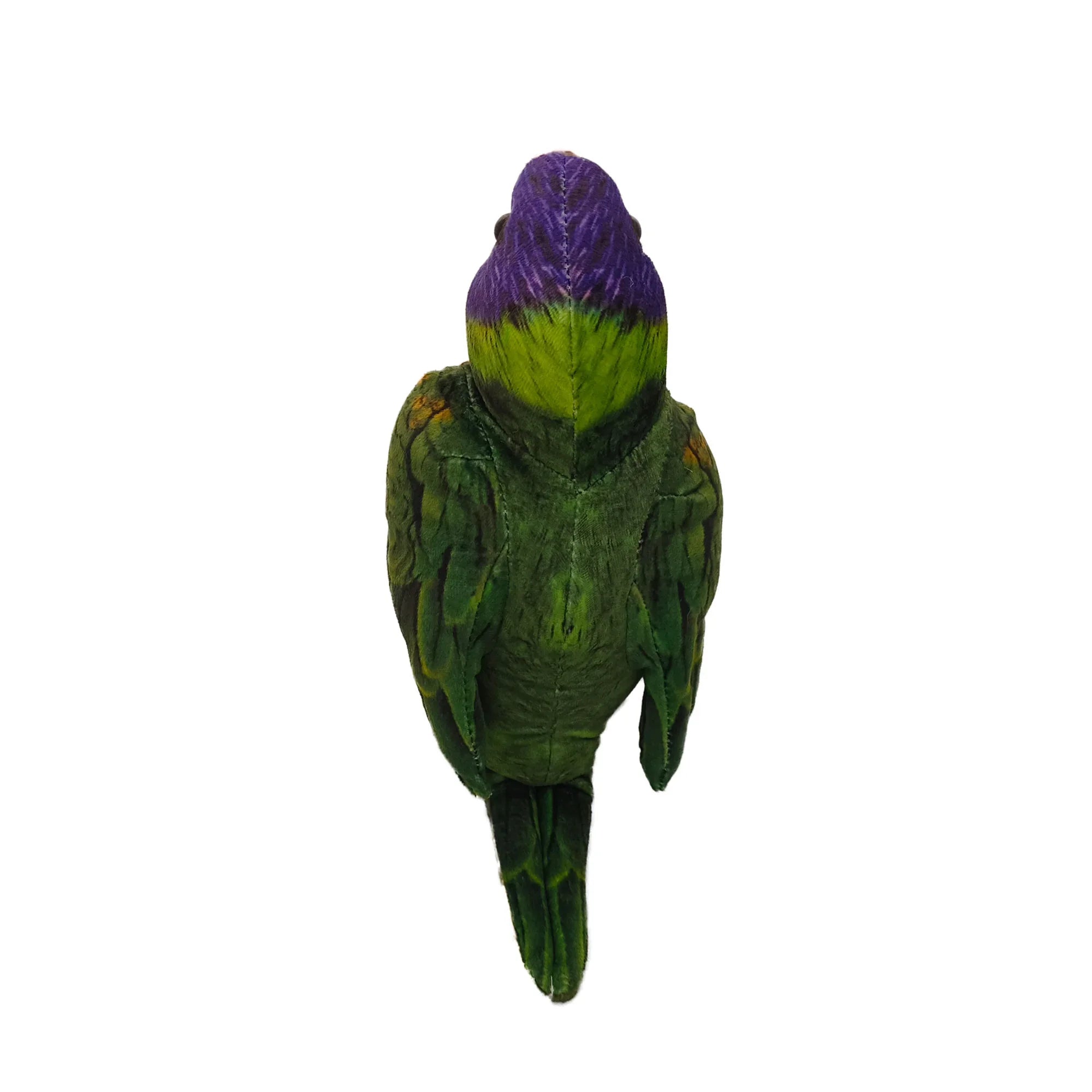 Checky the Lorikeet