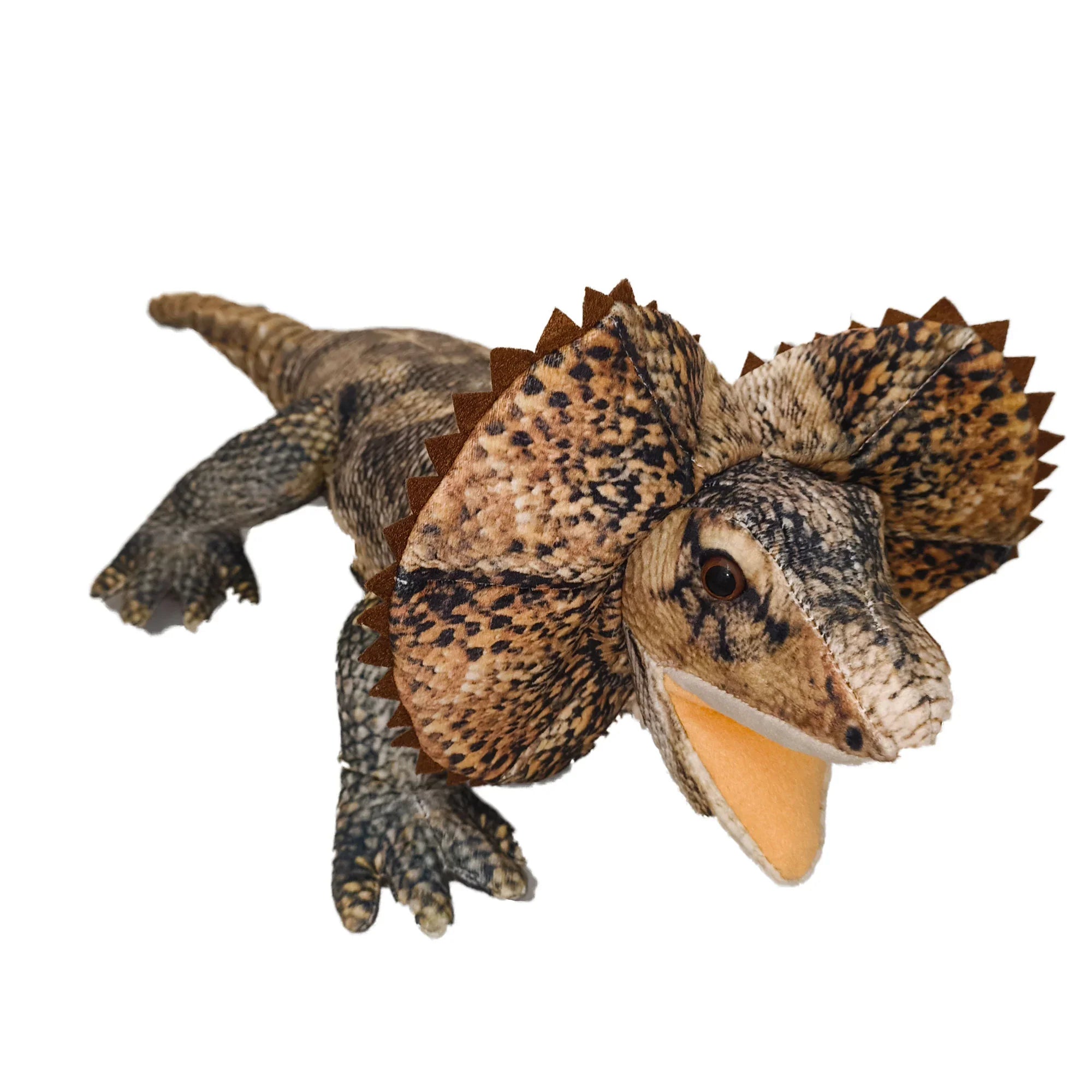 Freddy the Frill Neck Lizard