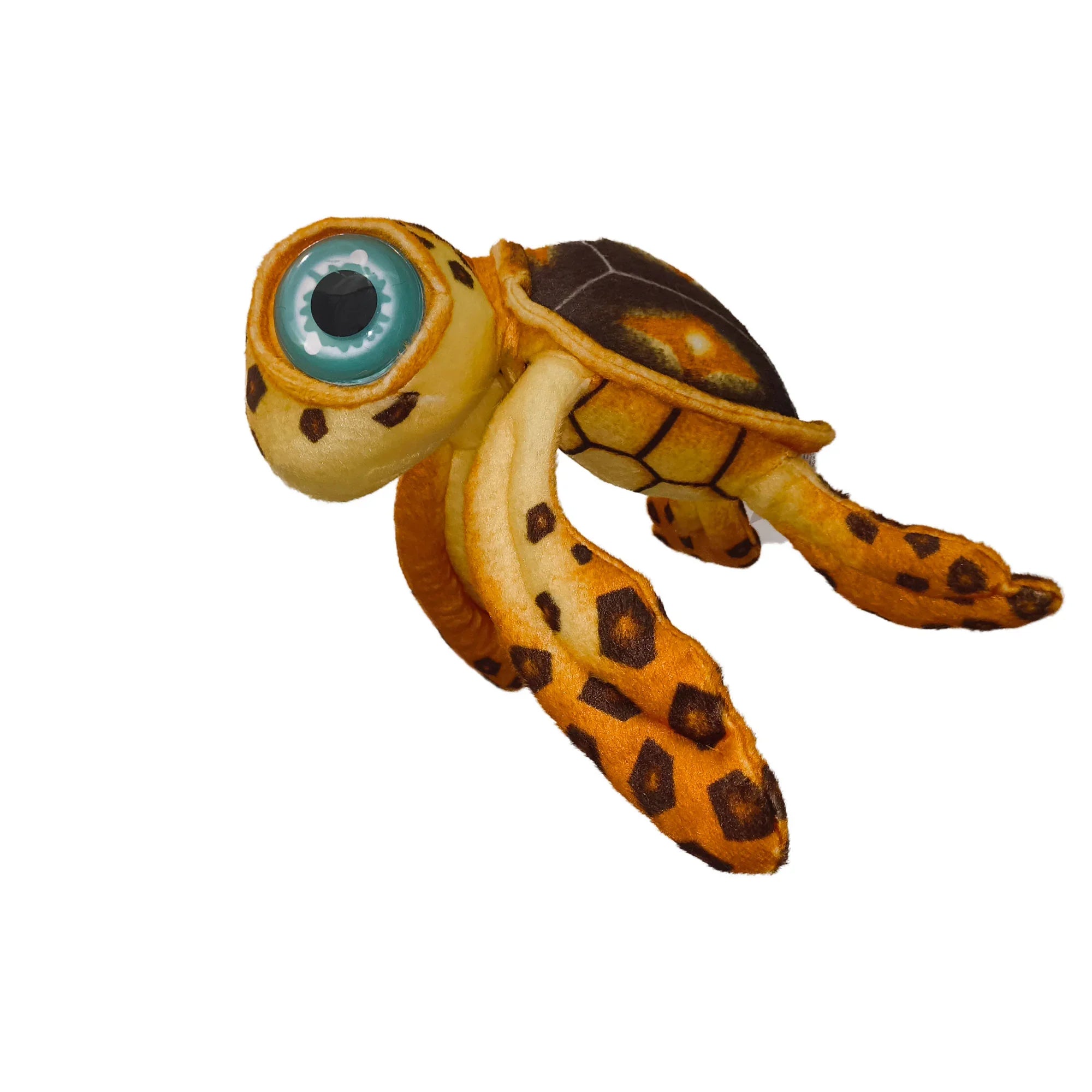 Franklin the Cute Turtle