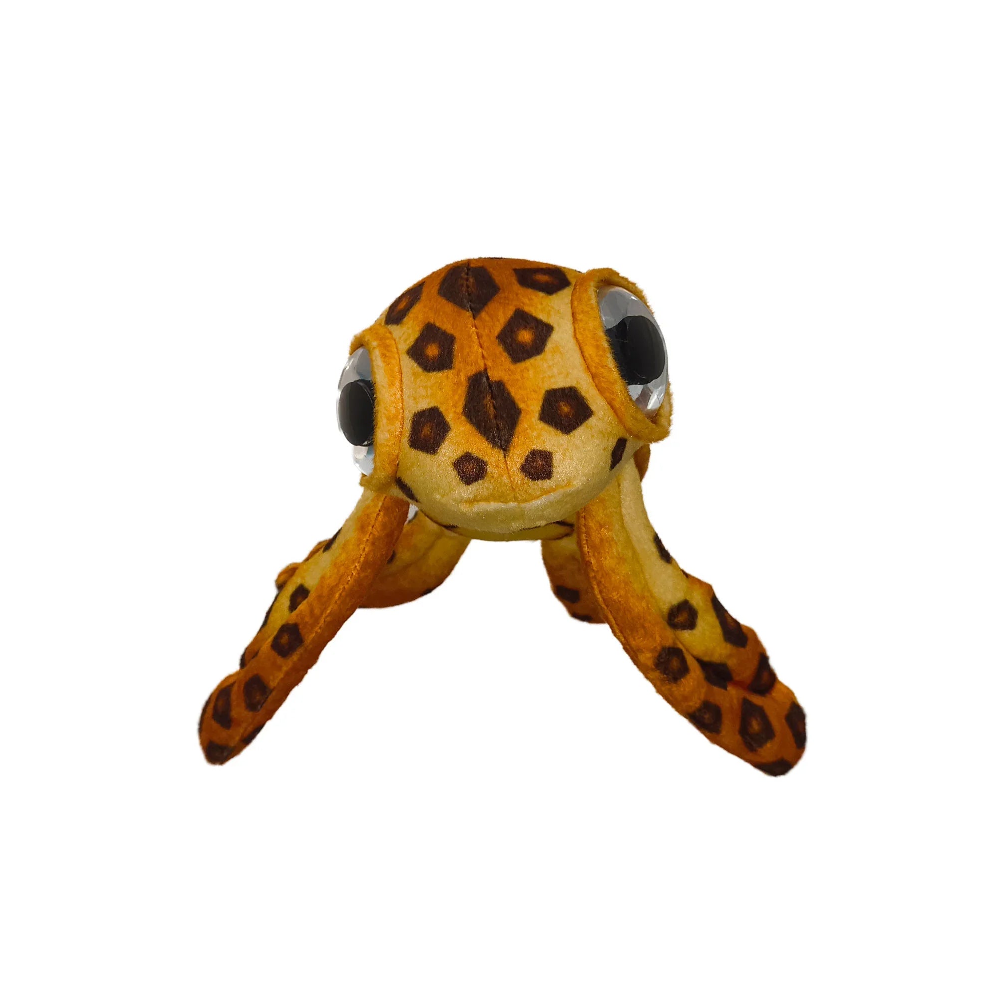 Franklin the Cute Turtle