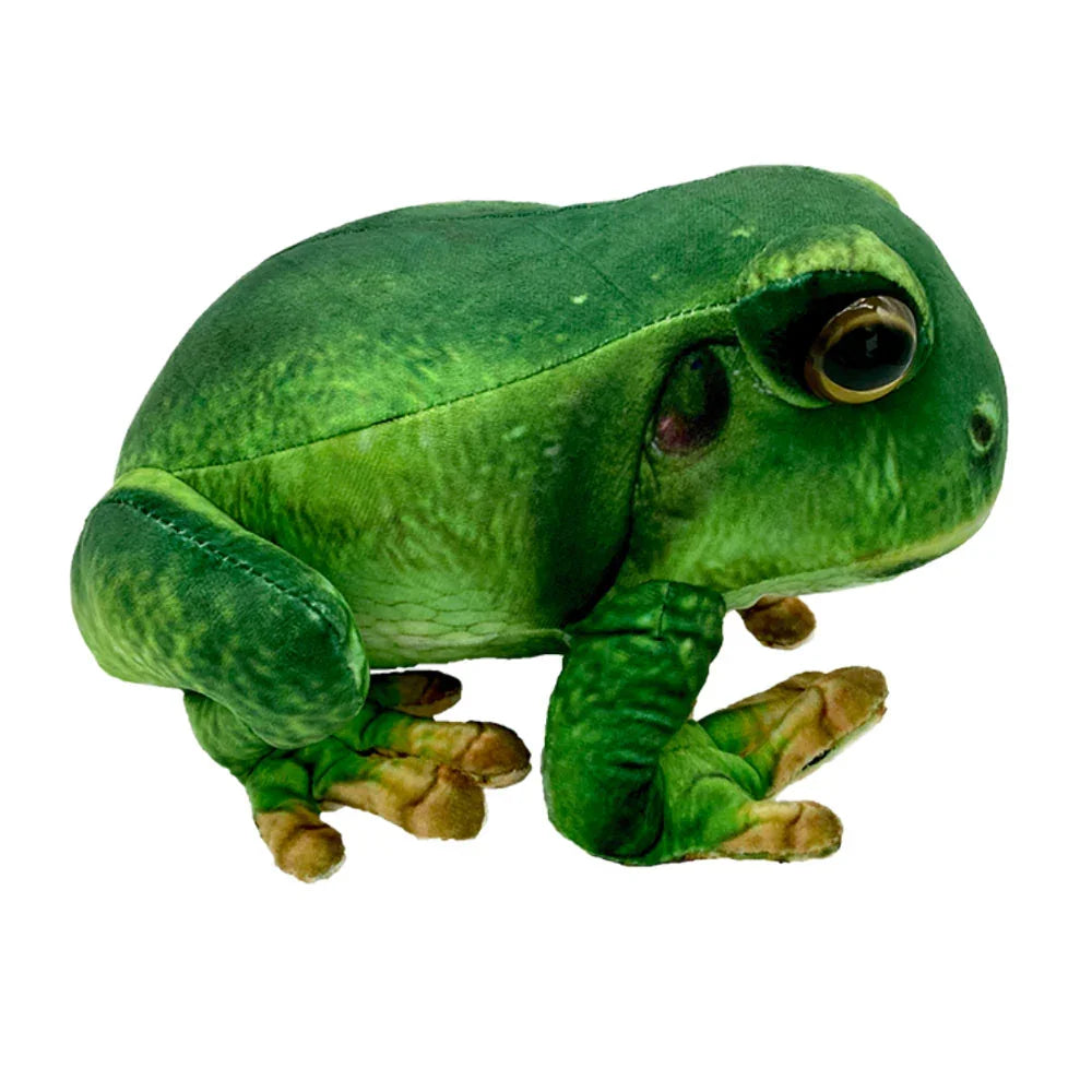 Kiwi the Frog