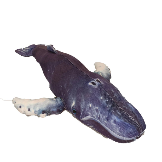 Orion the Humpback Whale