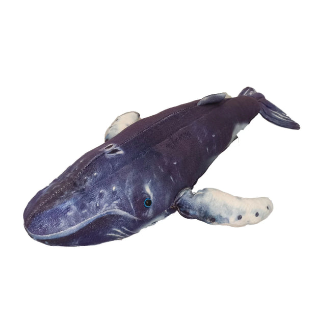 Orion the Humpback Whale
