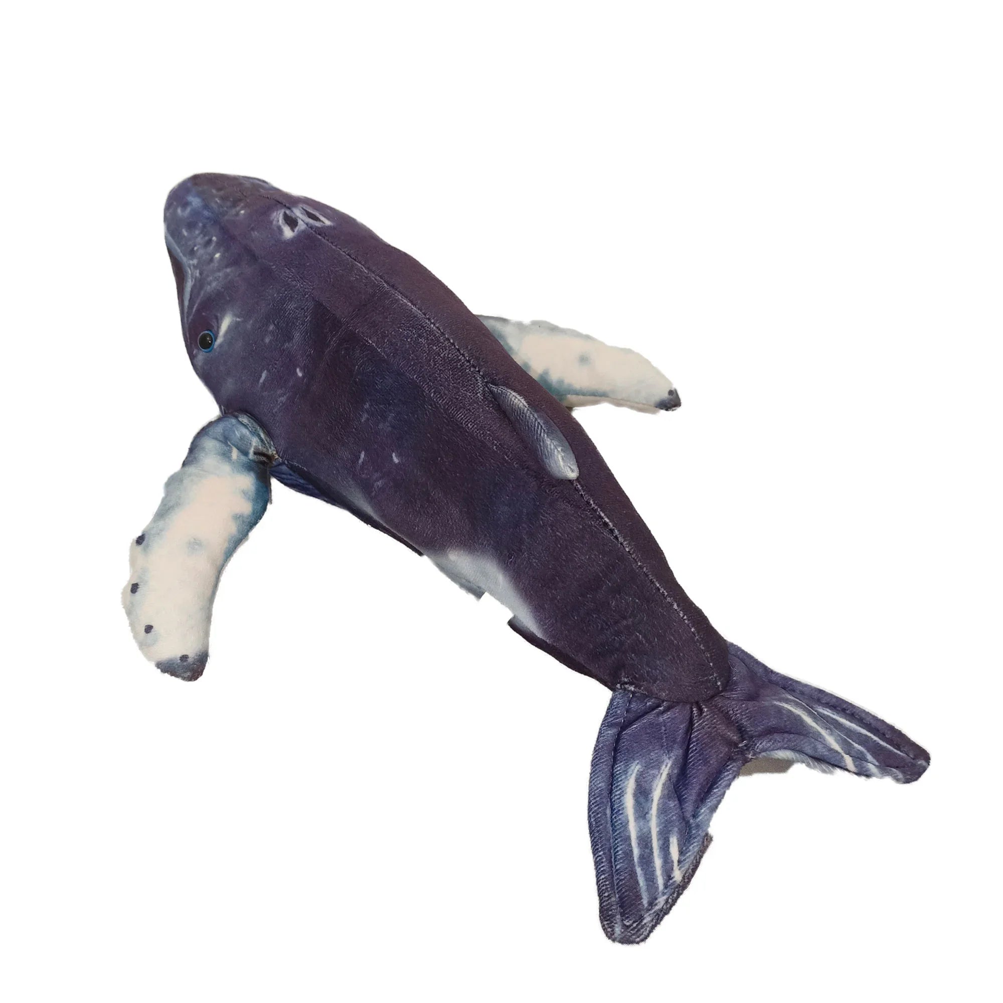 Orion the Humpback Whale