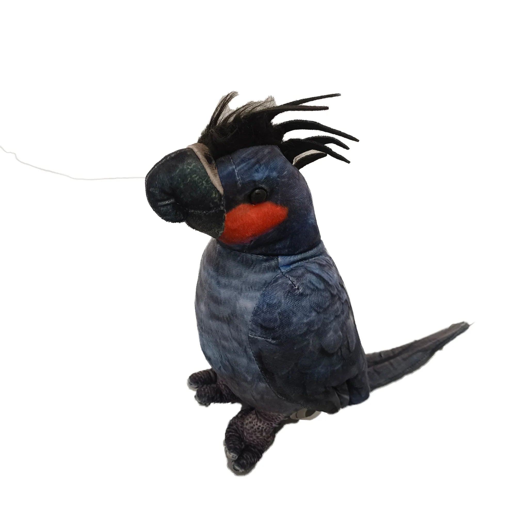 Rosie the Palm Cockatoo