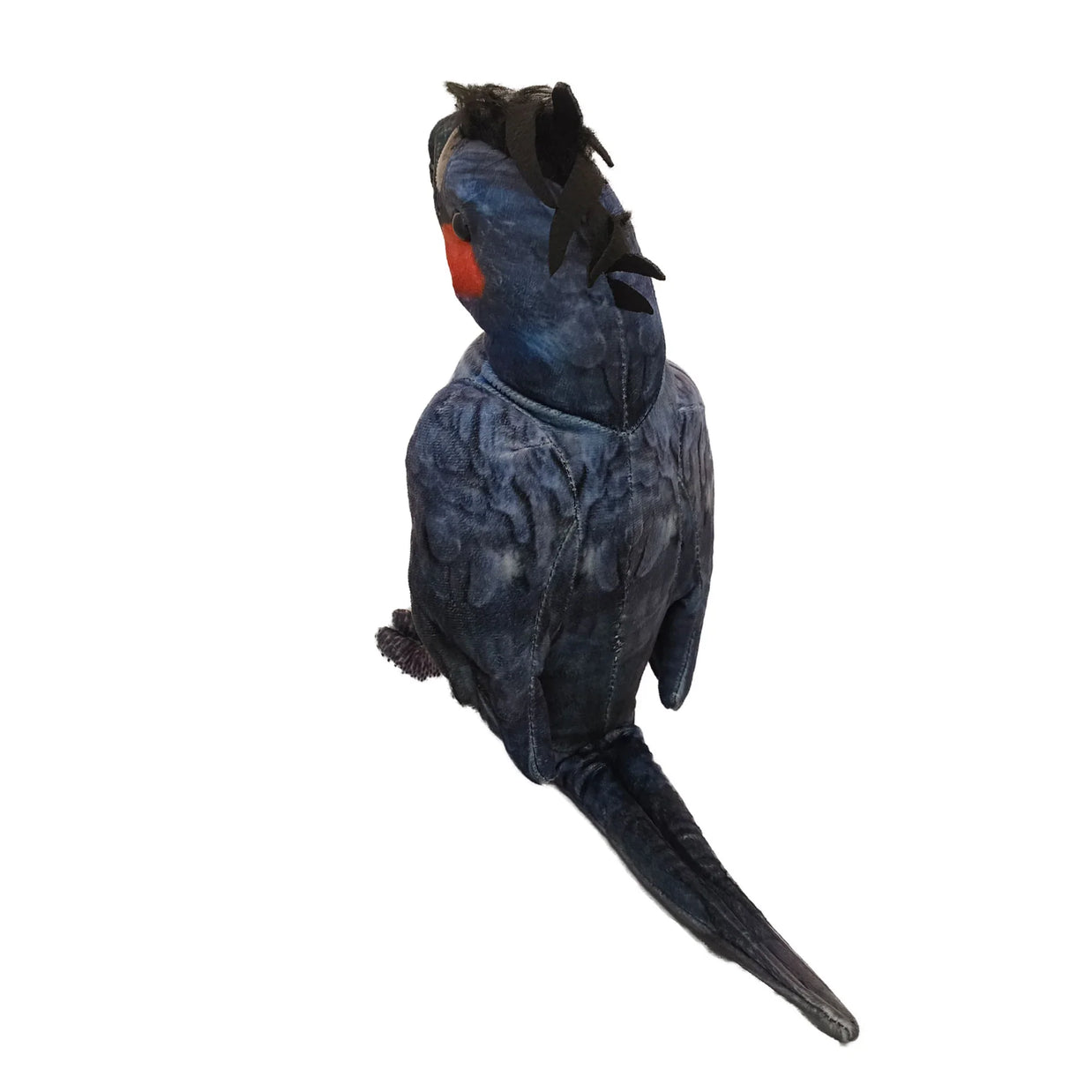 Rosie the Palm Cockatoo