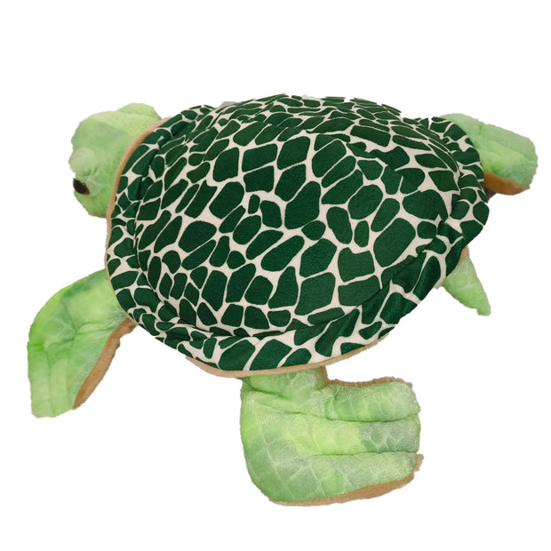 Speedy the Turtle