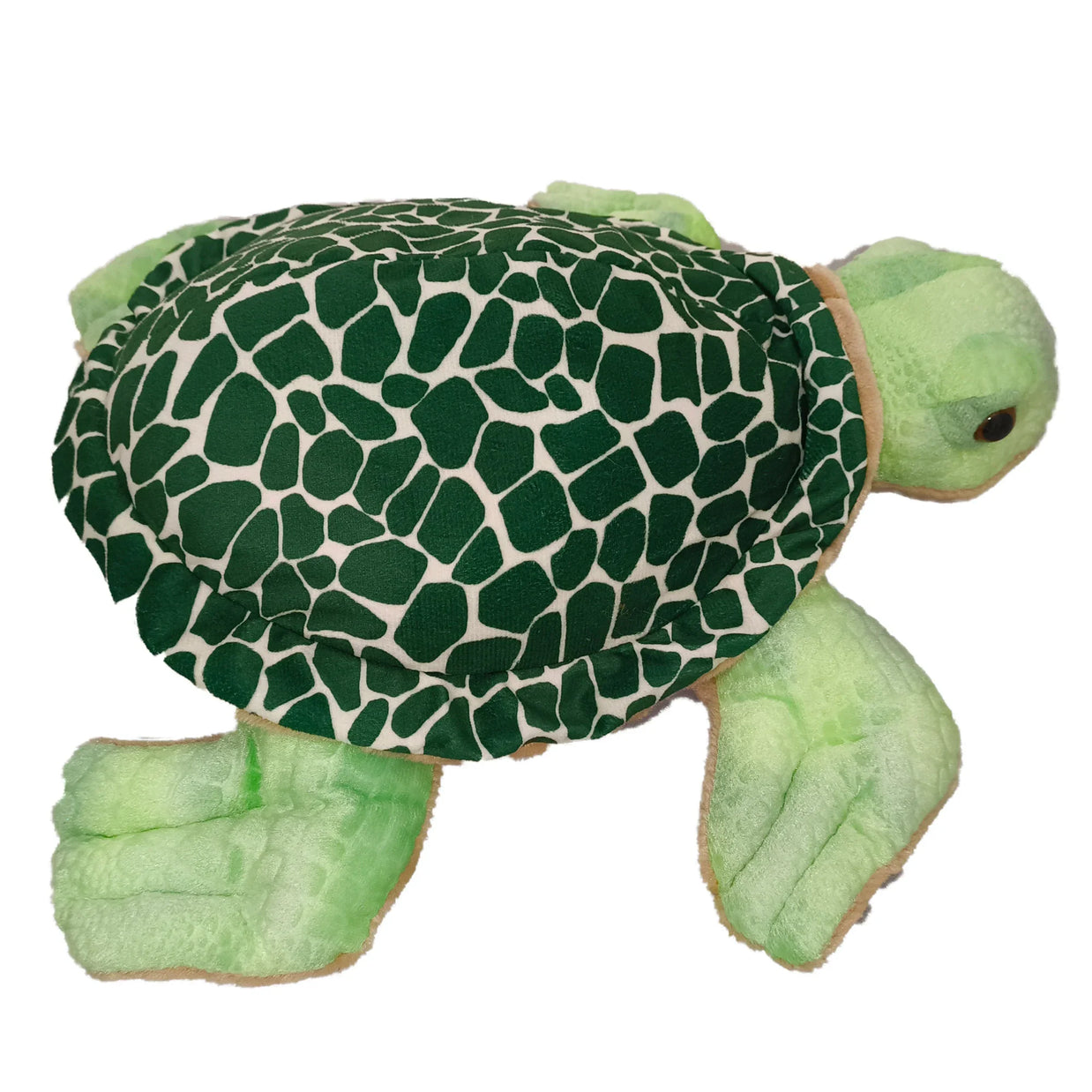 Speedy the Turtle