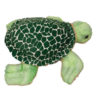 Speedy the Turtle