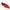 Spot Coral Trout