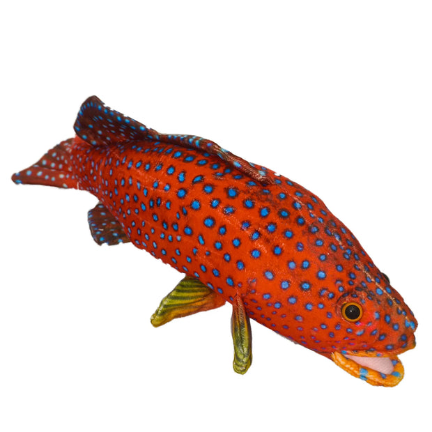 Spot Coral Trout