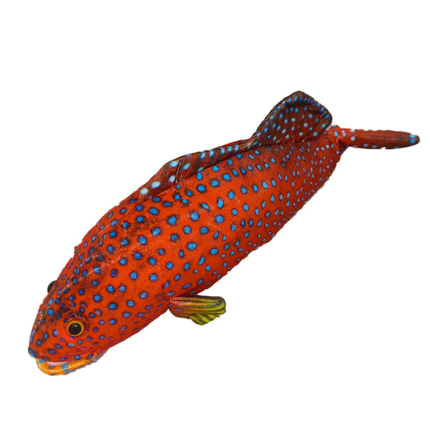 Spot Coral Trout
