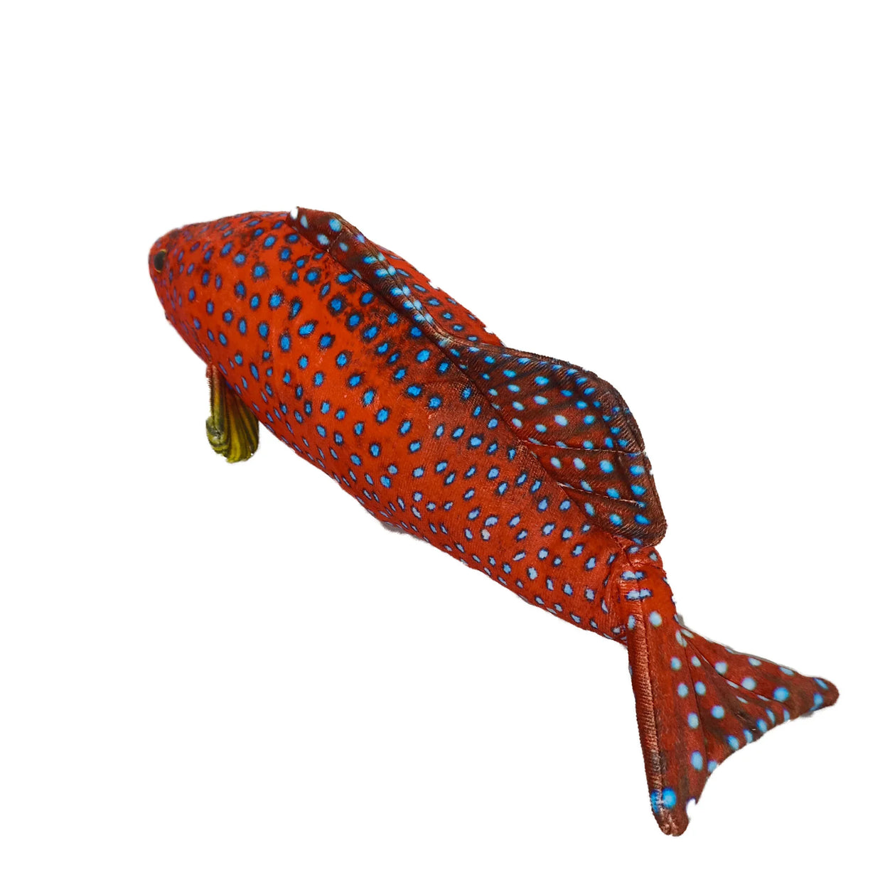 Spot Coral Trout