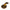 Stripe the Tiger Snake