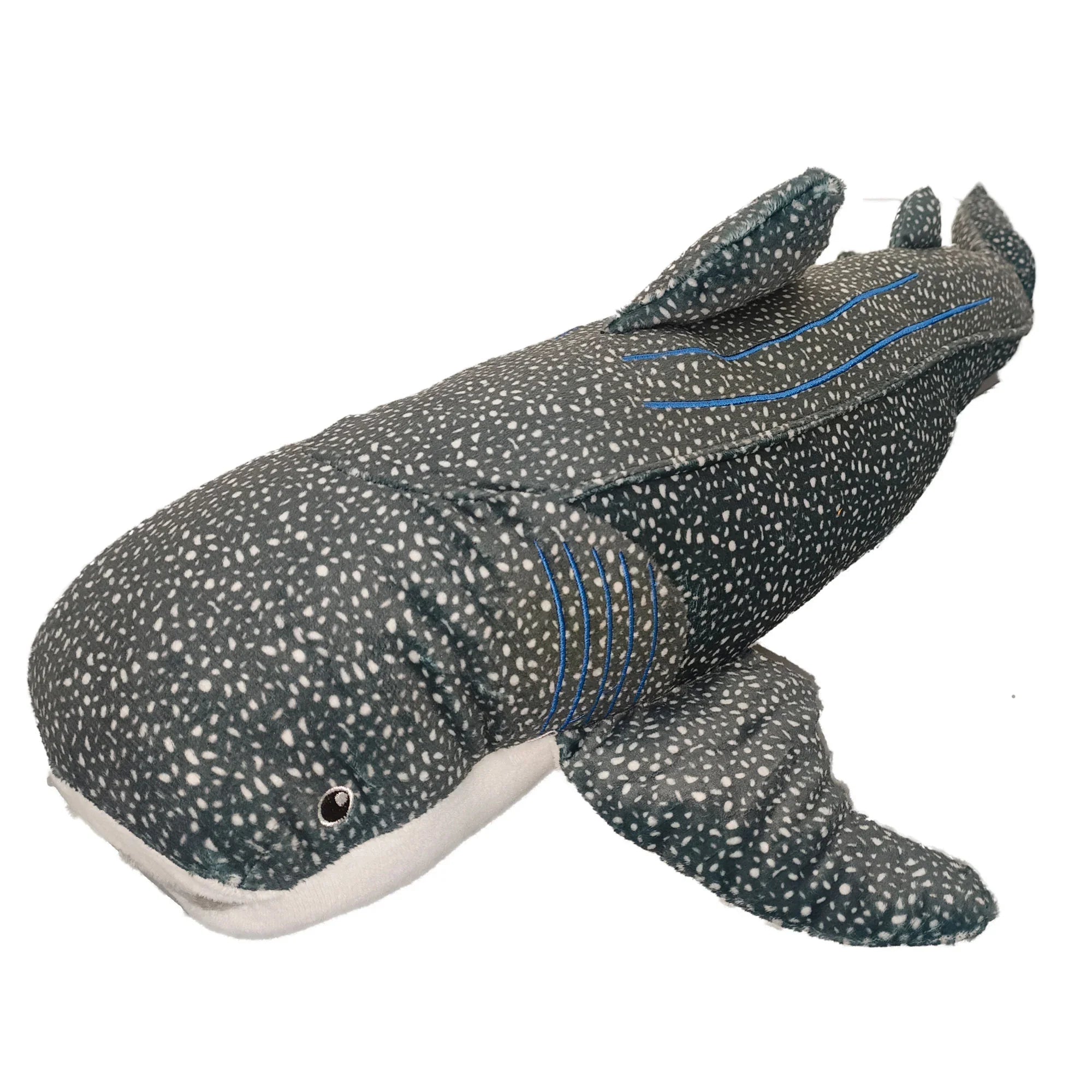Tia the Whale Shark