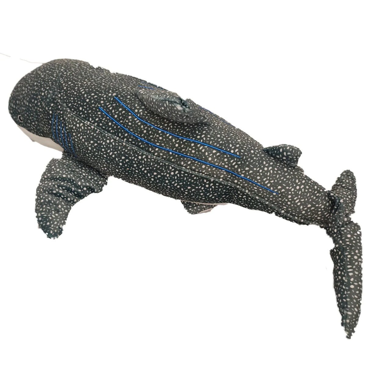 Tia the Whale Shark