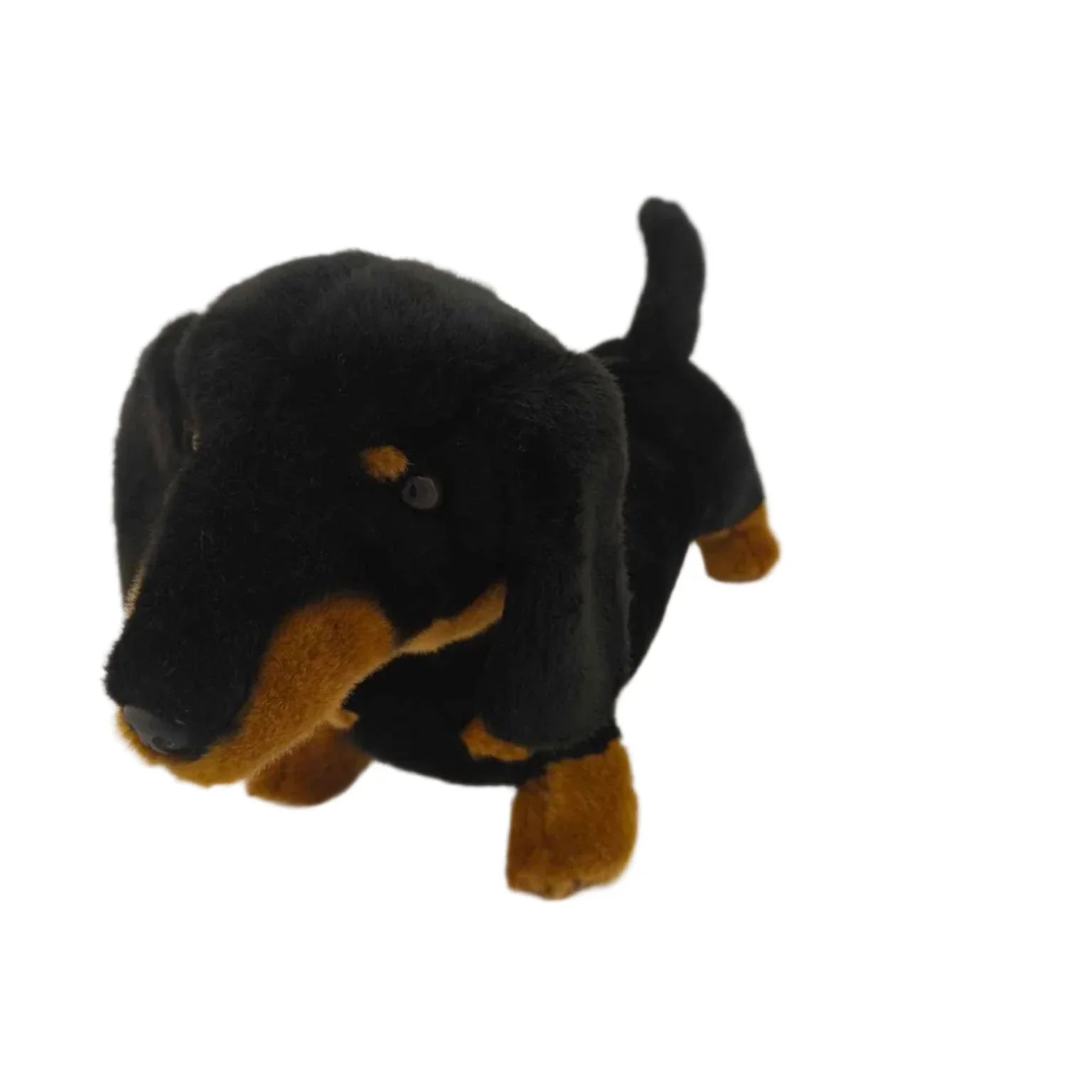 Meet Wurst the Dachshund – The Best Wurst You'll Ever Have!