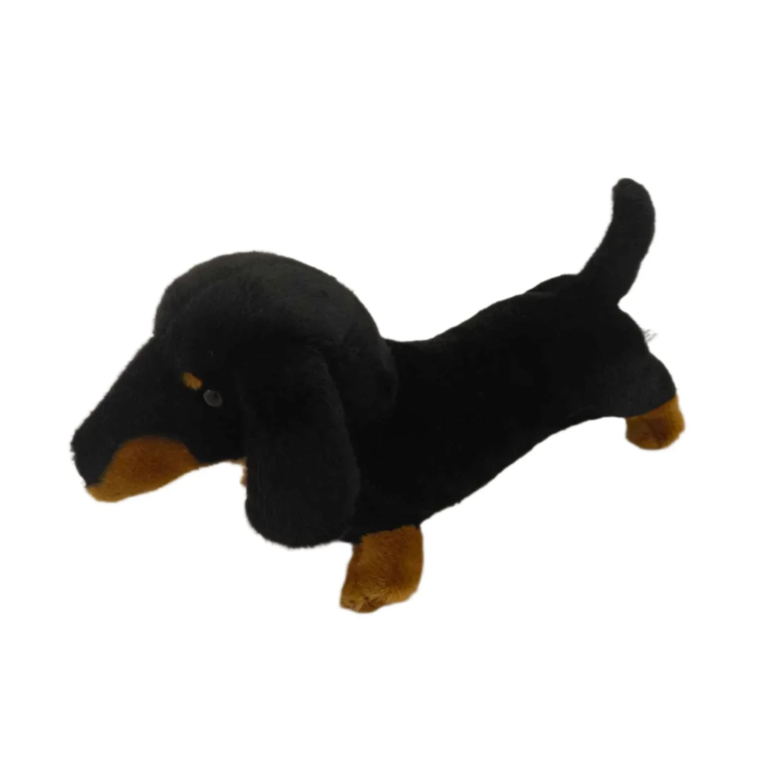 Meet Wurst the Dachshund – The Best Wurst You'll Ever Have!