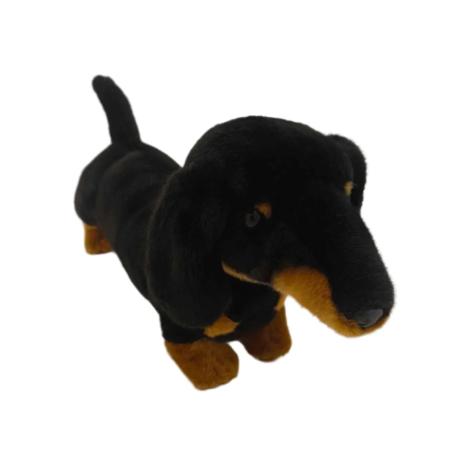 Meet Wurst the Dachshund – The Best Wurst You'll Ever Have!