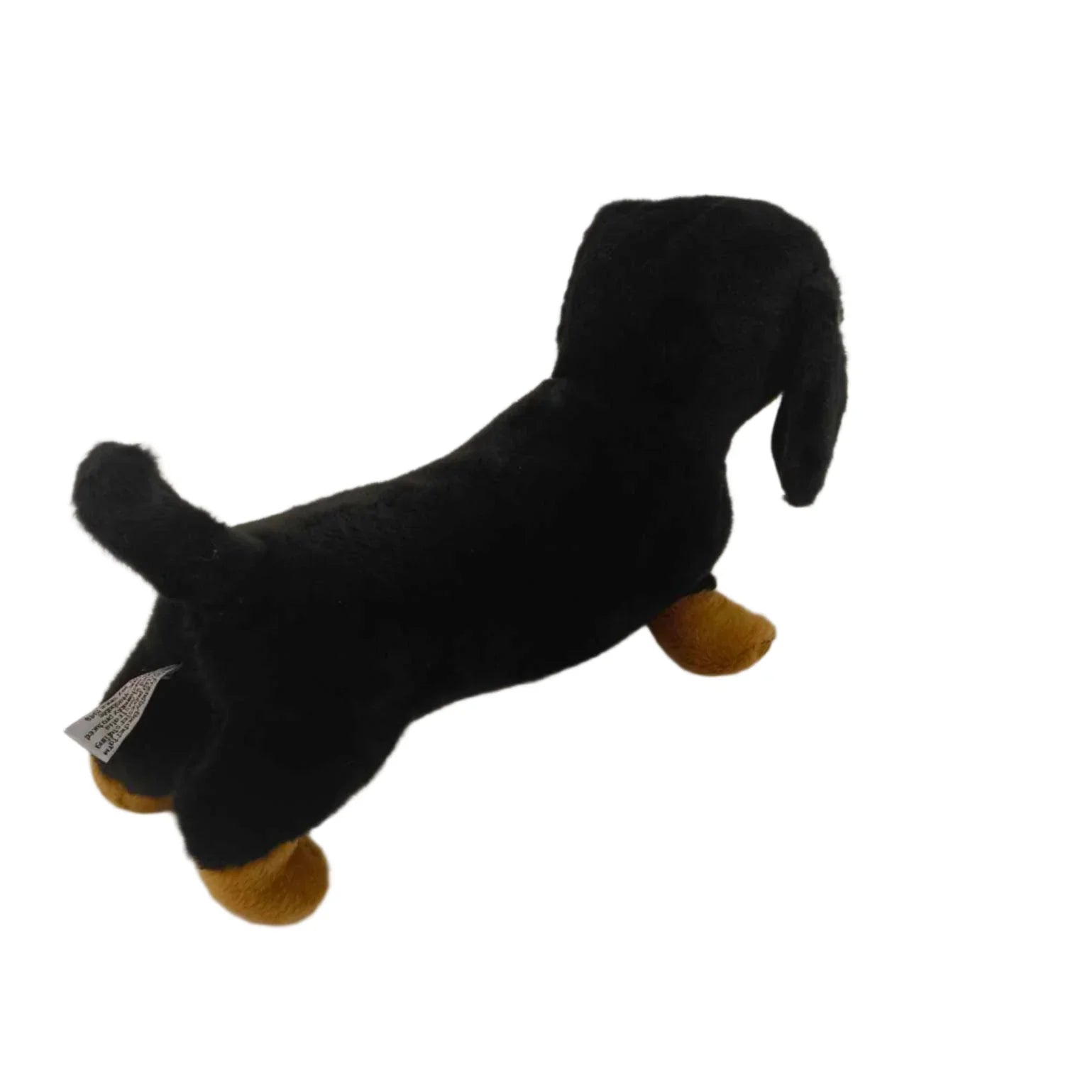 Meet Wurst the Dachshund – The Best Wurst You'll Ever Have!