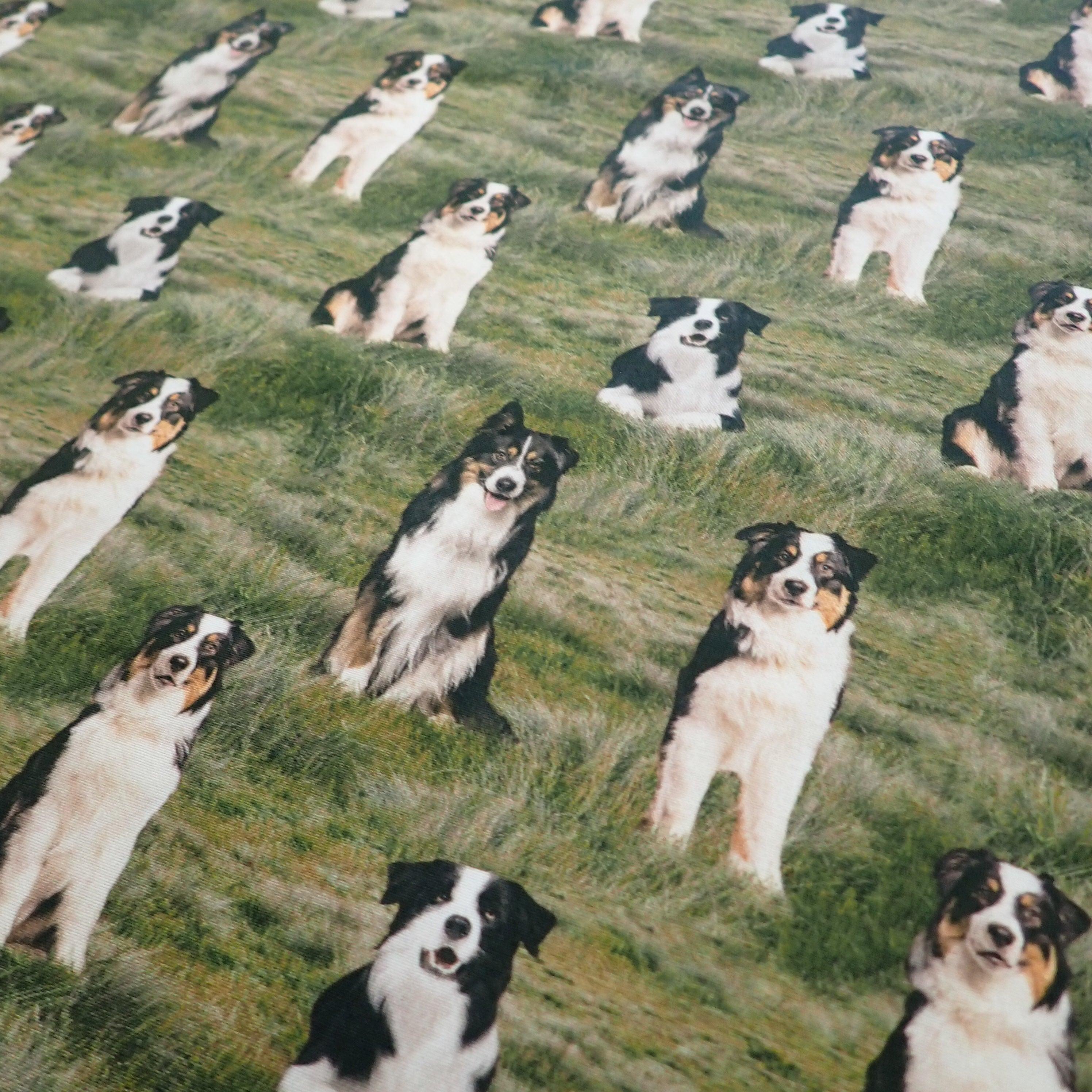 Border Collies - Nana's Weighted Blankets