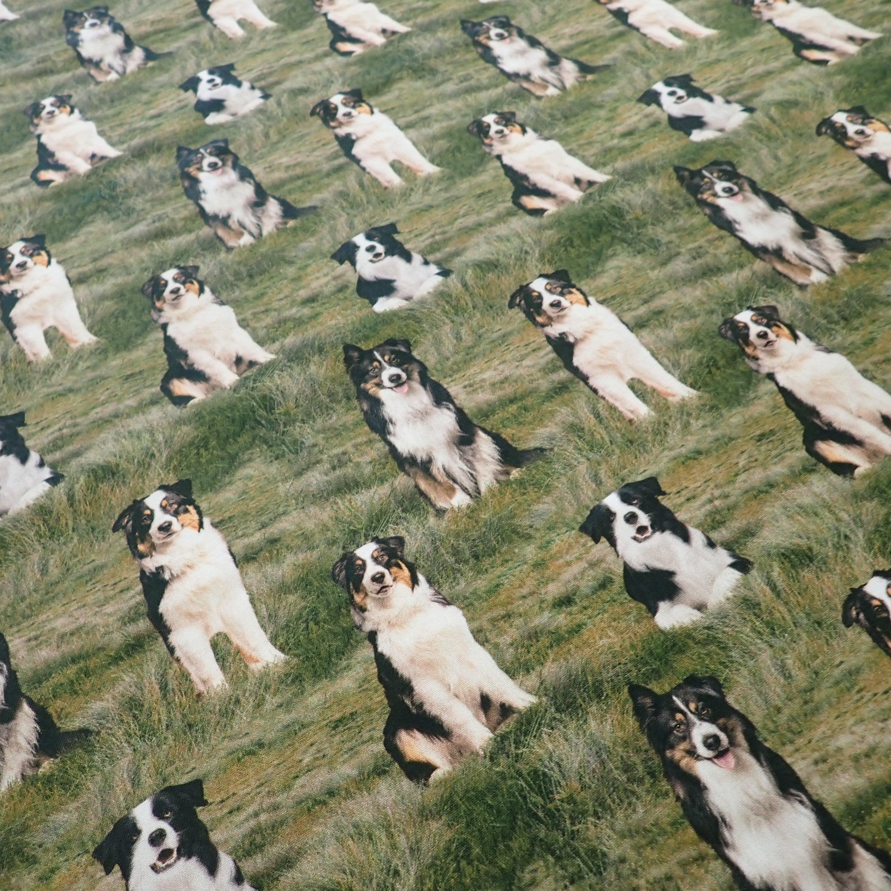 Border Collies - Nana's Weighted Blankets