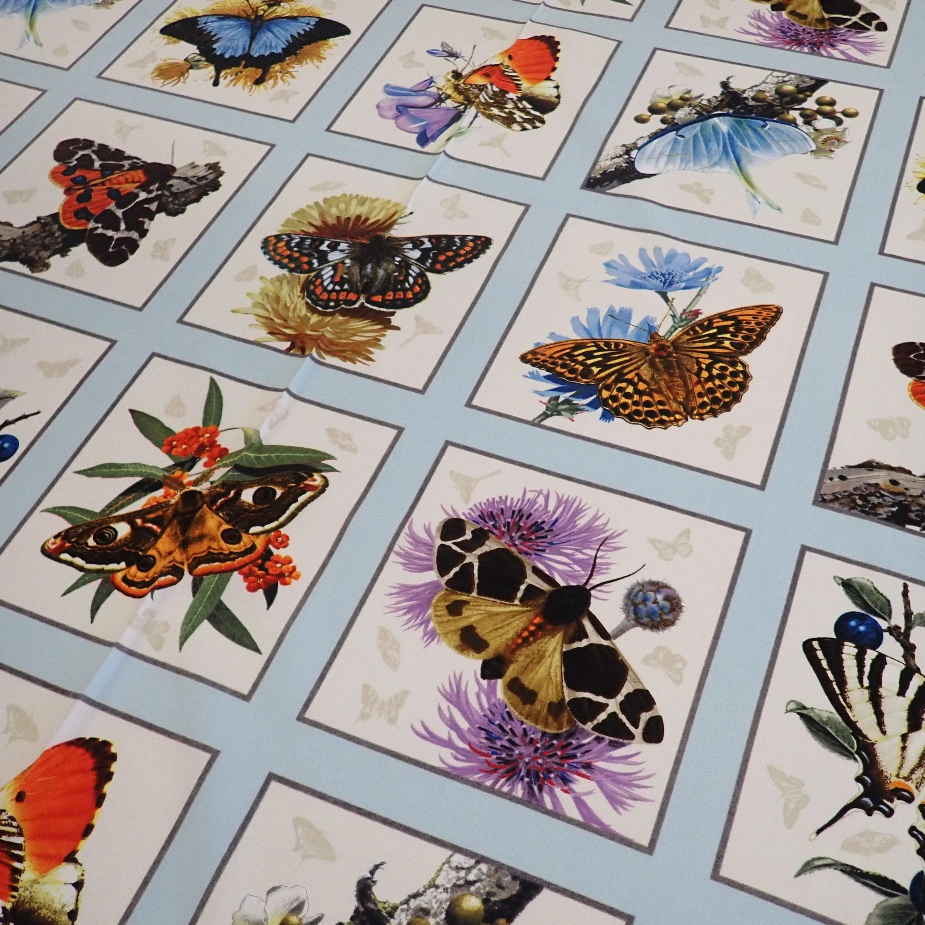 Butterfly and Moth Panel - Nana's Weighted Blankets