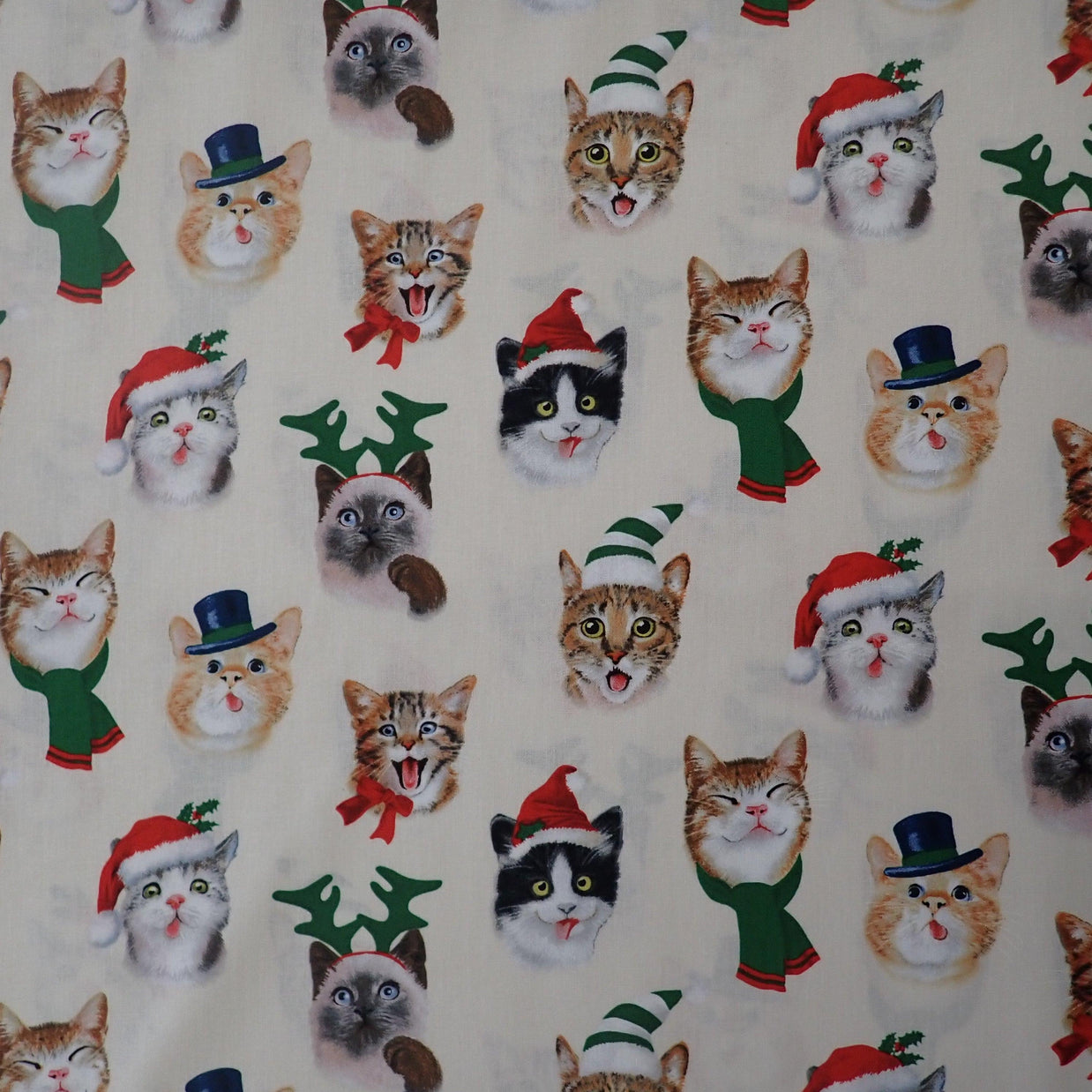 Christmas Selfies cats - Nana's Weighted Blankets