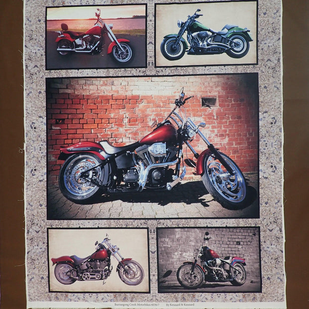 Custom Bikes - Nana's Weighted Blankets