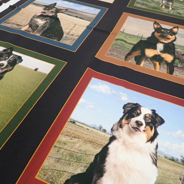 Farming Life - Nana's Weighted Blankets