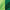 Heavy Duty Blanket - Light Green on Green - Nana's Weighted Blankets
