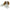 Izzy Cavalier King Charles Spaniel - Nana's Weighted Blankets