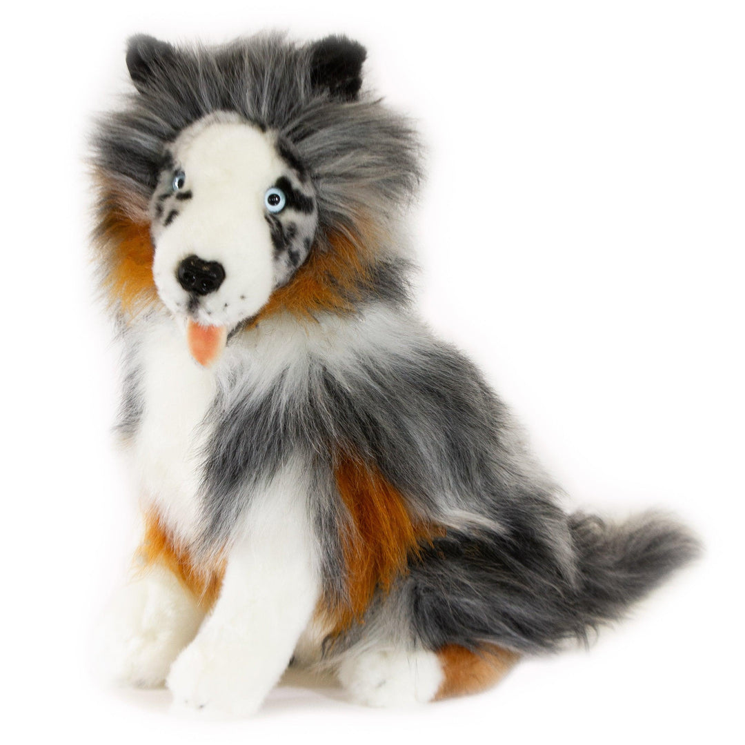Jimmie the Australian Shepherd - Nana's Weighted Blankets