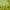 Premade Blanket Skin - Single Bed -Green Robots - Nana's Weighted Blankets