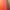 Red Green Gradients - Nana's Weighted Blankets
