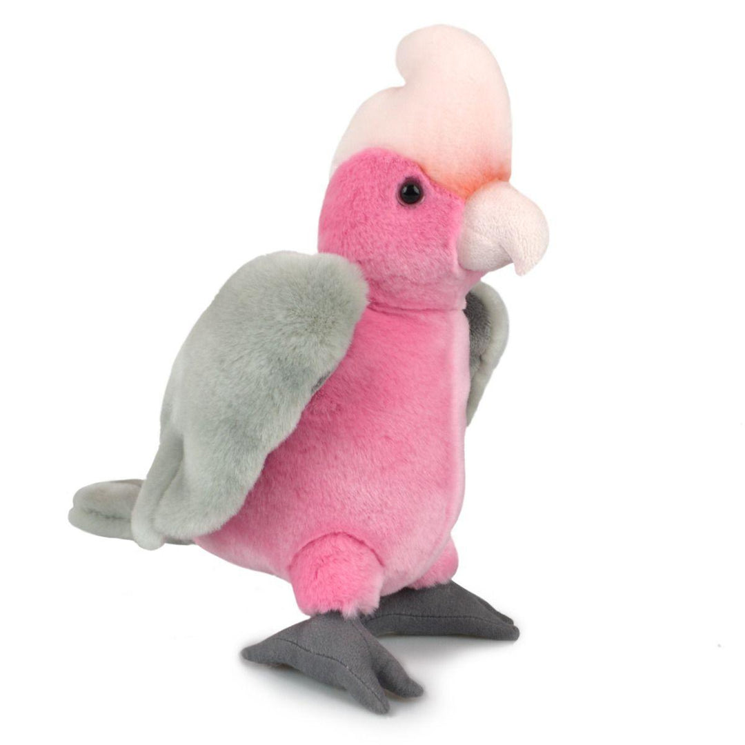 Scratchy the Galah - Nana's Weighted Blankets
