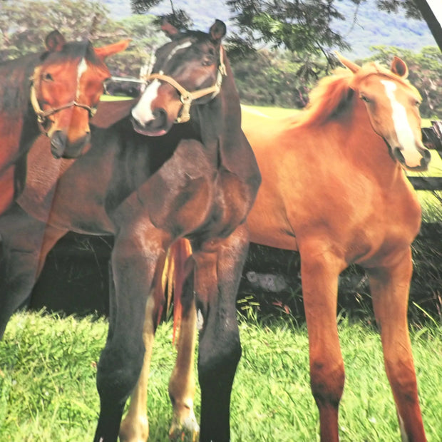 Trio of Horses - Nana's Weighted Blankets
