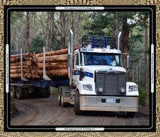 Big Logging Truck Panel - Nana's Weighted Blankets