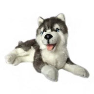 Tobias the Husky - Nana's Weighted Blankets
